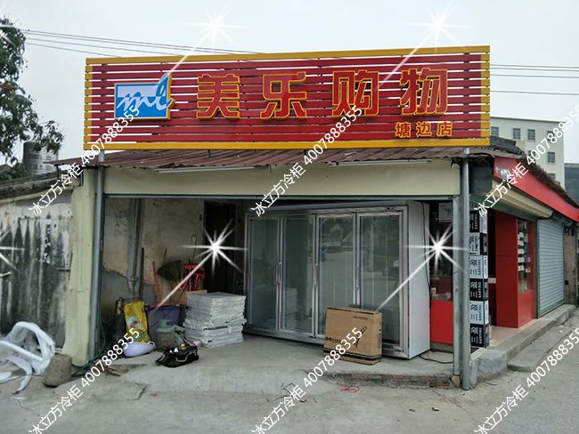 （揭阳）普宁市塘边美乐购物四门平头柜展示柜冷柜
