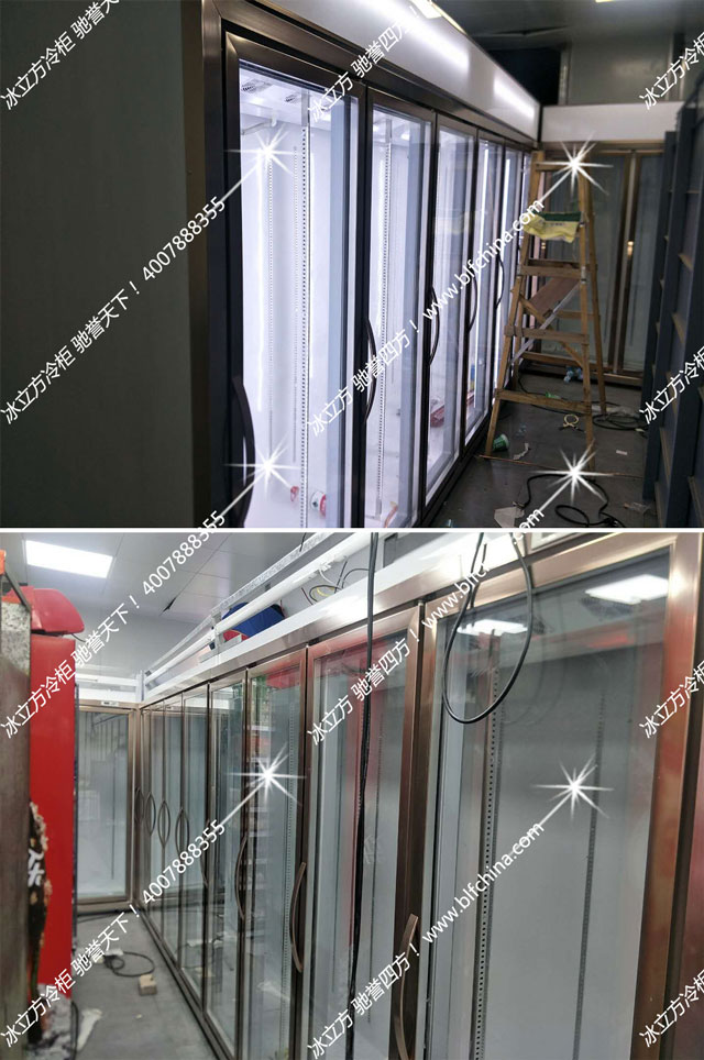龙华富士康科技集团6门/8门冰柜展示柜饮料啤酒柜