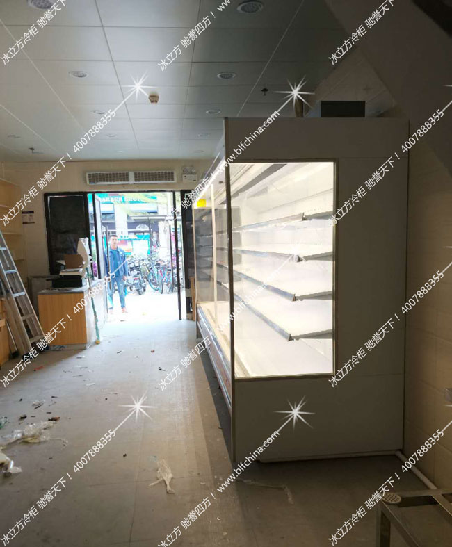 冰立方风幕柜