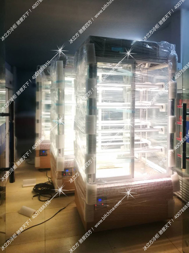 前后开门（冰柜），老板卖冷串的福利到了