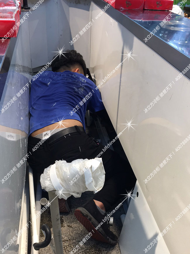 阳江冰柜大全