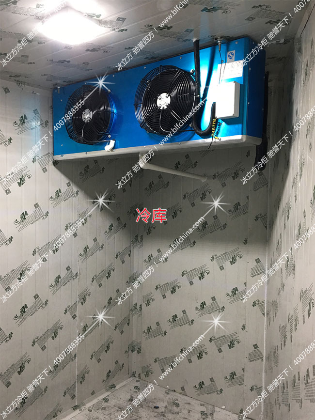 冰立方冷柜|冰立方保鲜柜|冰立方冷藏柜